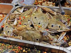 -长平肥姐白粥·海鲜打冷