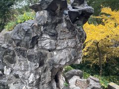 -汇龙潭
