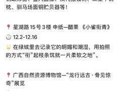 -广西壮族自治区博物馆