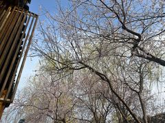 -春风习习