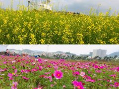 -光明小镇欢乐田园