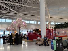 -纽瓦克自由国际机场