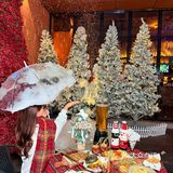 南宁！！地铁直达！！🎄圣诞浓度1000%。。