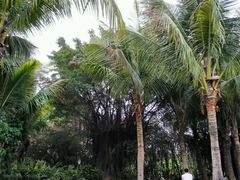 -鑫皇朝酒店(建设一路店)