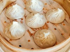 手工鲜肉小笼-上海小南国(不夜城店)