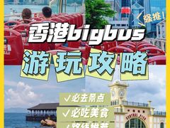 -Big Bus Tours 敞篷观光巴士