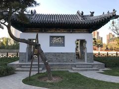 -迎泽公园