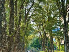 -中山大学广州校区南校园怀士堂