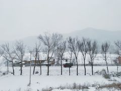 -亚布力新体委滑雪场