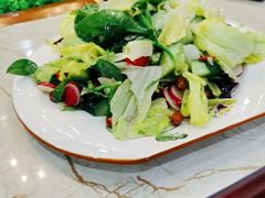 养生田园大拌菜-正阳春鸭子楼(汉沽店)