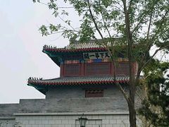 -武清南湖绿博园