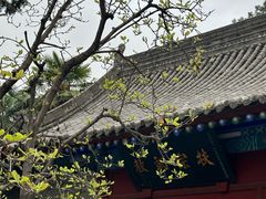 -万寿八仙宫