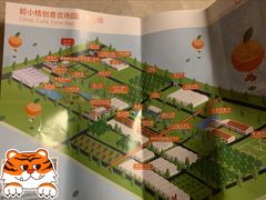 -前小桔亲子创意农场·草莓采摘·露营烧烤