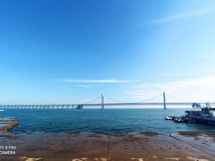 -大卫美术教育(中南路校区)