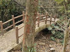 -火炉山森林公园