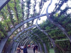 -布里斯班南岸公园