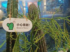 -隅乐胡椒虾·台湾菜·团建(皇岗店)