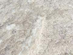 -东台吉乃尔湖