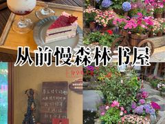 -火炉山森林公园