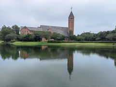 -贡湖湾湿地公园
