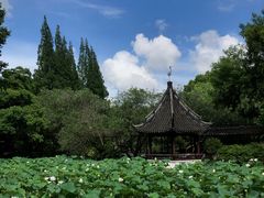 -上海醉白池公园