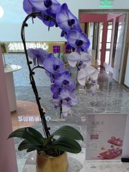 -Dr.U博士医疗美容医院