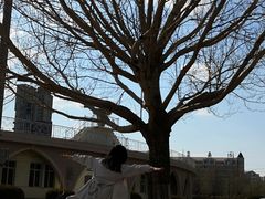 -哈尔滨师范大学(松北校区)