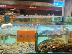 -国惠大酒楼(仓山万达店)