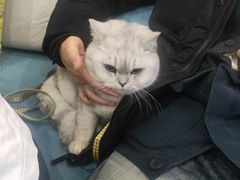 -美迦爱-牙专科·兔科·骨科诊疗中心(北苑店)