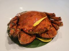 -九福楼大酒店