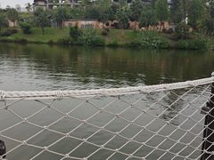 -枫香湖儿童公园