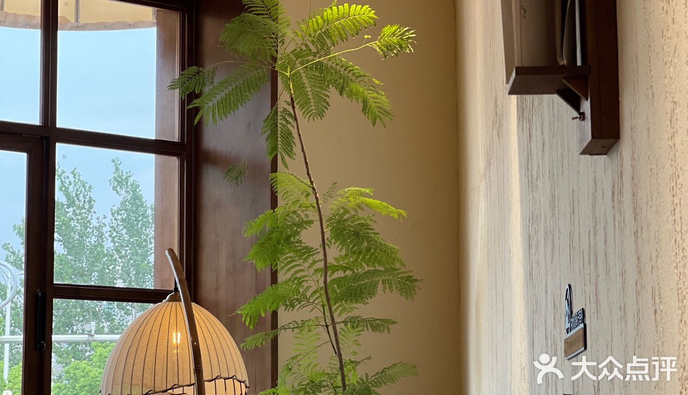 南阳探店下午茶 树下沐屋 超出片的旋转楼梯