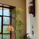 南阳探店下午茶 树下沐屋 超出片的旋转楼梯