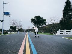 -羊山湖公园