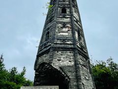 -上海佘山国家森林公园天马山园