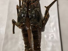 -碗中海·蒸汽海鲜·桑拿鸡(岭南天地店)