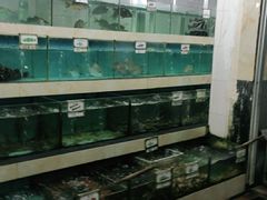 水产区-秋姐美食店(旅游大道店)