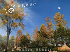 -渼陂湖