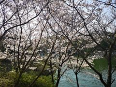 -白马涧龙池景区