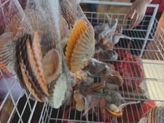 -蓝湾碧波·老字号·疍家非遗海上餐厅