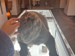 -Me Coffee下午茶艺术空间