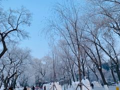 -山河屯铁锅炖(哈西站店)