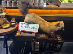 -杂咖zacup(领展中心城店)
