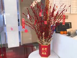 -丽美妍医疗美容·皮秒·立体分层抗衰