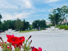 -海驴岛(荣成市)