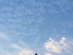 iphone_upload_pic-郑州建业艾美酒店