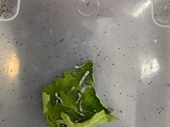 -百荣世贸商城