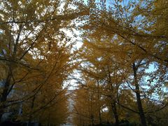 -辽宁大学(崇山校区)