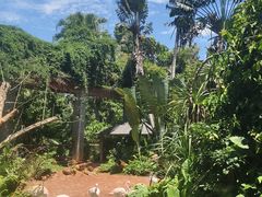 -海南热带野生动植物园