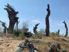 -亿利库布其七星湖沙漠生态旅游区